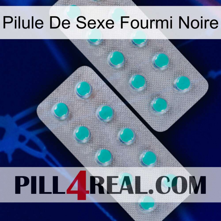 Black Ant Sex Pill 29